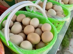 -大自然农场蔬菜草莓采摘园