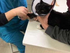 -宠颐生汉谟拉比宠物医院
