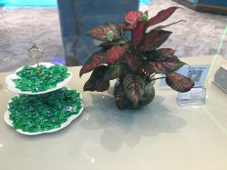 -清颜专业祛痘连锁店