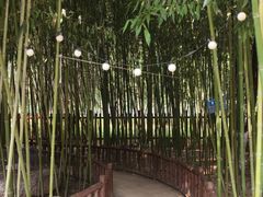 -滨河世纪广场公园