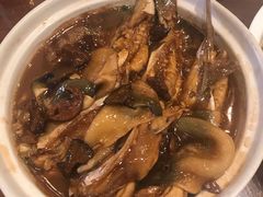 -鸿运酒楼