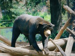 -云南野生动物园