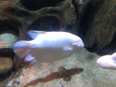 -厦门海底世界