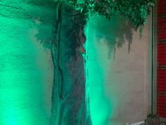 -宝丽金大酒店·洗浴中心