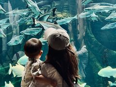 -波塞冬旅游度假区