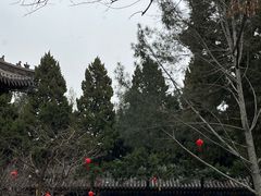 -大慈恩寺(大雁塔)