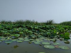 -铁道游击队纪念园