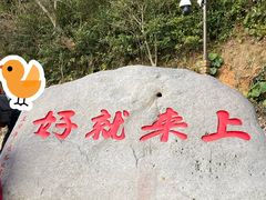 -普陀山慧济禅寺