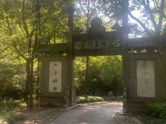 -十九峰景区