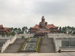 -广东圆玄道观