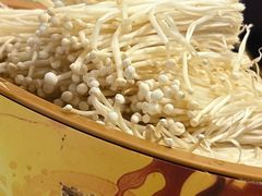 -龍歌自助小火锅(秦淮水游城店)