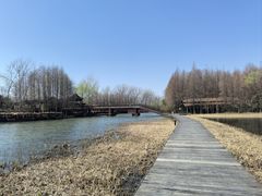-溱湖国家湿地公园