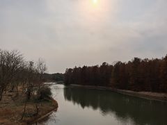 -上海海湾国家森林公园