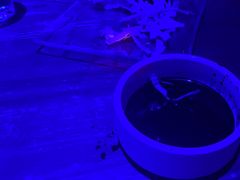 -胡桃里乐队酒馆(广州塔店)