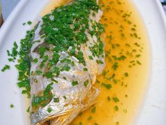 野生大黄鱼-绿波廊(豫园店)