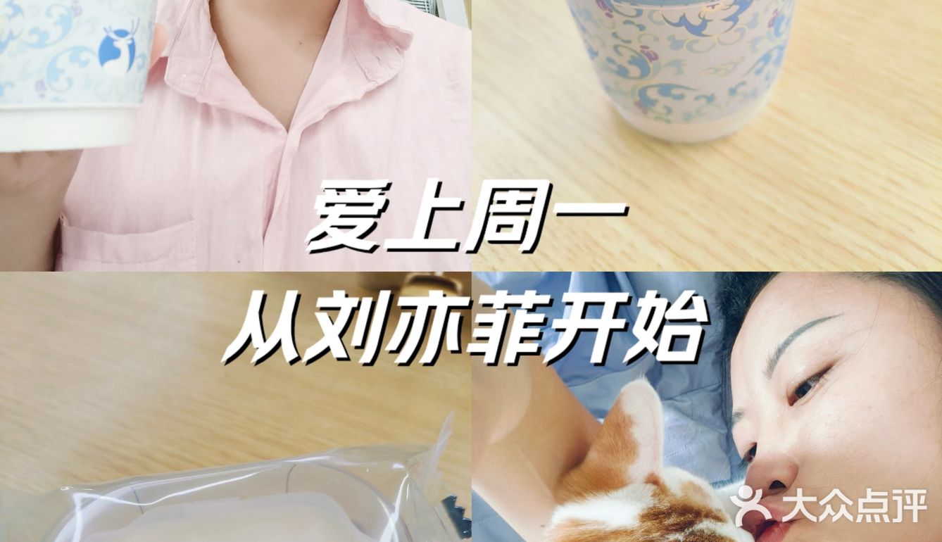 周一，从爱上刘亦菲开始