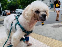 -康乐宝动物医院