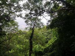 -南京市江宁方山