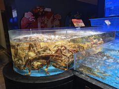 -徐记海鲜(大雁塔|金都店)