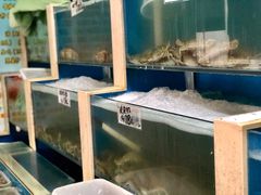 水产区-胶东海鲜大排档(北太平庄店)