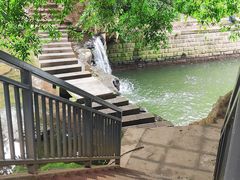 -重庆彩云湖湿地公园