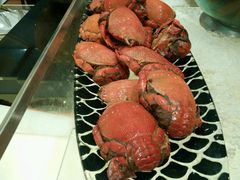 android_upload_pic-玫瑰园西餐厅