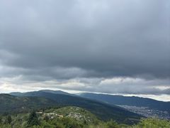 -长虫山生态公园风景林