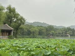 -承德避暑山庄景区