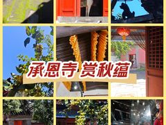 -承恩寺
