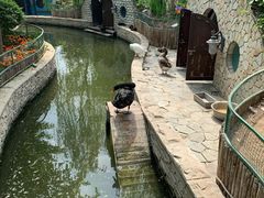 -南宫五洲植物乐园