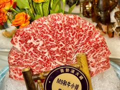 -喜聚薈·花膠雞海鮮火鍋(越秀店)