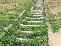 -永定河休闲森林公园