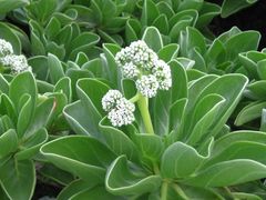 -龙坑生态保护区