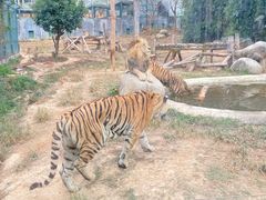 -泉州海丝野生动物世界