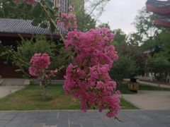 -堤角公园