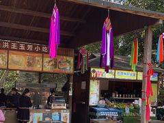 -西双版纳原始森林公园