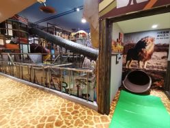 -卡通尼·Safari非洲探索乐园·生日会(金桥国际商业广场店)