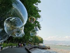 -西昌邛海湿地