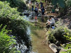 -重庆彩云湖湿地公园