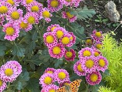 -同济大学(嘉定校区)