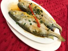-蛇口康乐快餐鱼仔档(翠苑小区店)