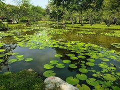 -中国科学院西双版纳热带植物园
