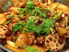 干锅牛蛙-蛙蛙叫干锅年代(簋街总店)