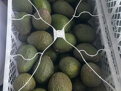 -东方鼎信农副产品交易中心
