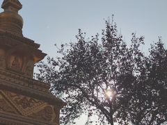 -西安大兴善寺