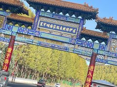 -塞罕坝国家级自然保护区