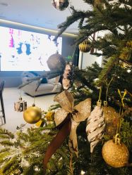 -LB·海菲秀牛奶光官方体验中心