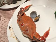 -雅枫国际酒店—枫叶自助餐(福田店)