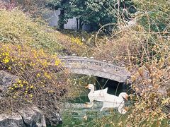 -祝家花園(伯渎港店)