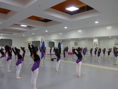 -西安小天鹅艺术团(金花路校区)